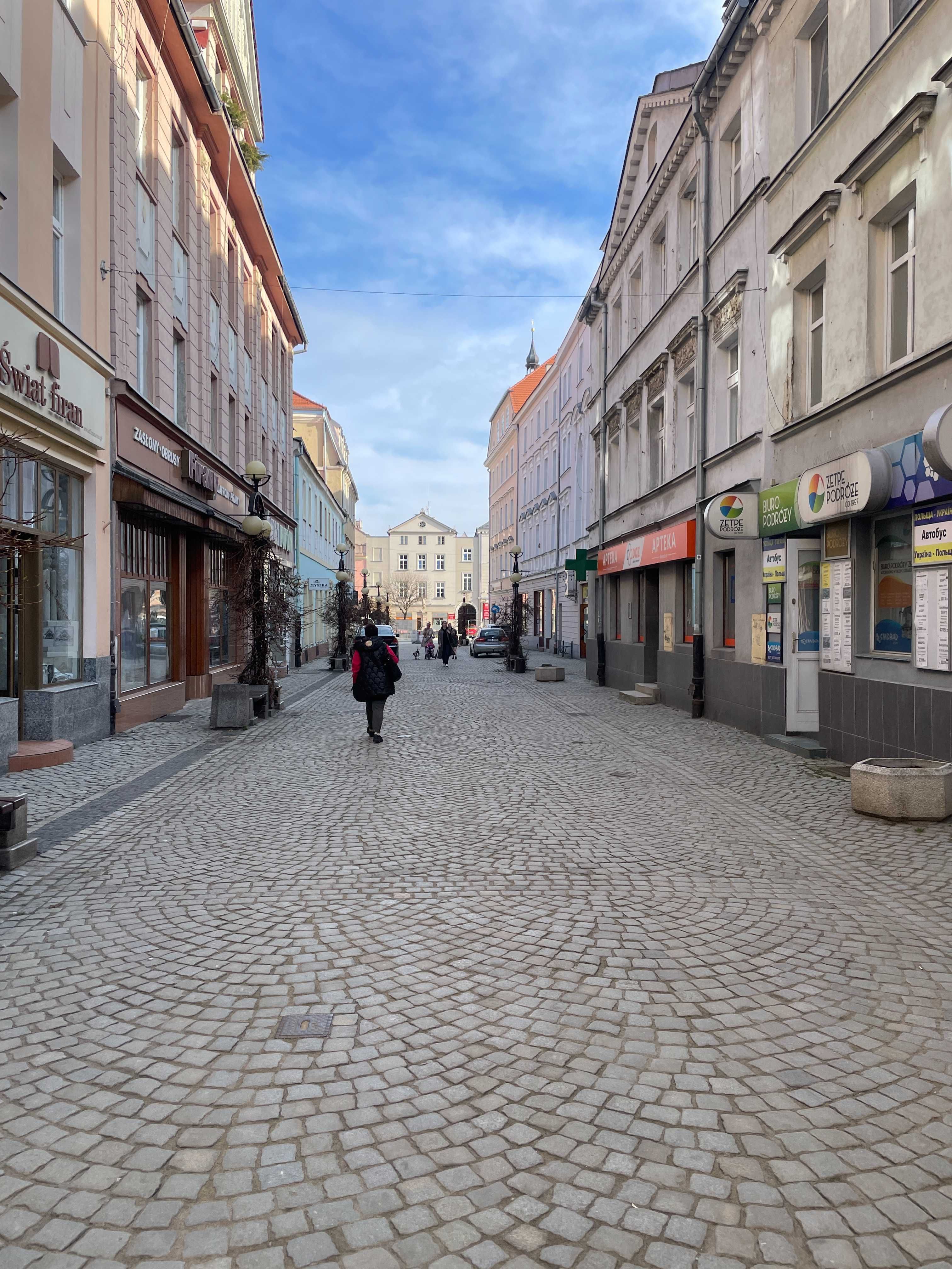 lokal użytkowy deptak parter witryna Centrum Dzierżoniów