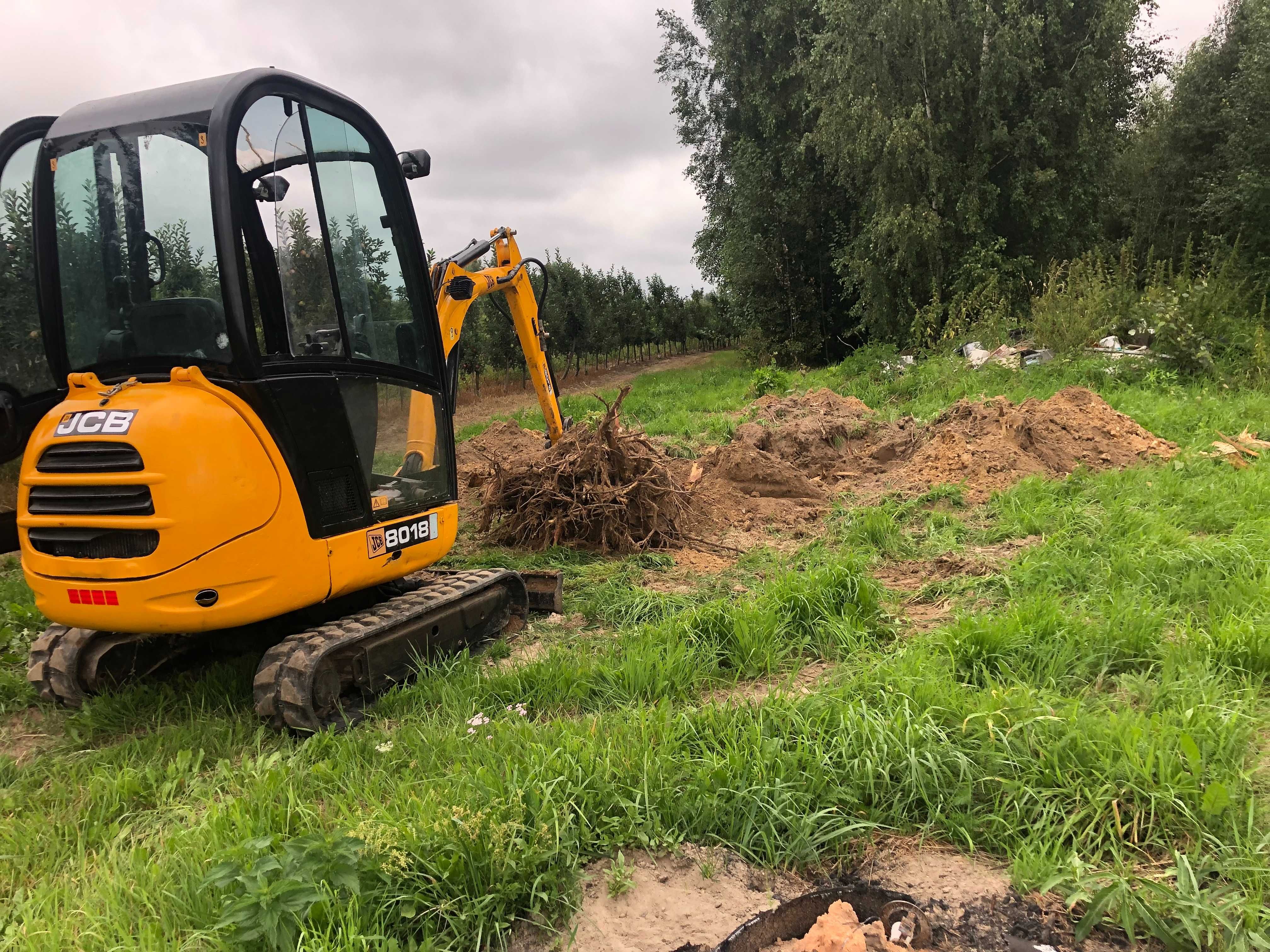 Usługi JCB Wynajem Minikoparki Koparka Minikoparka przyłącza przyłącze