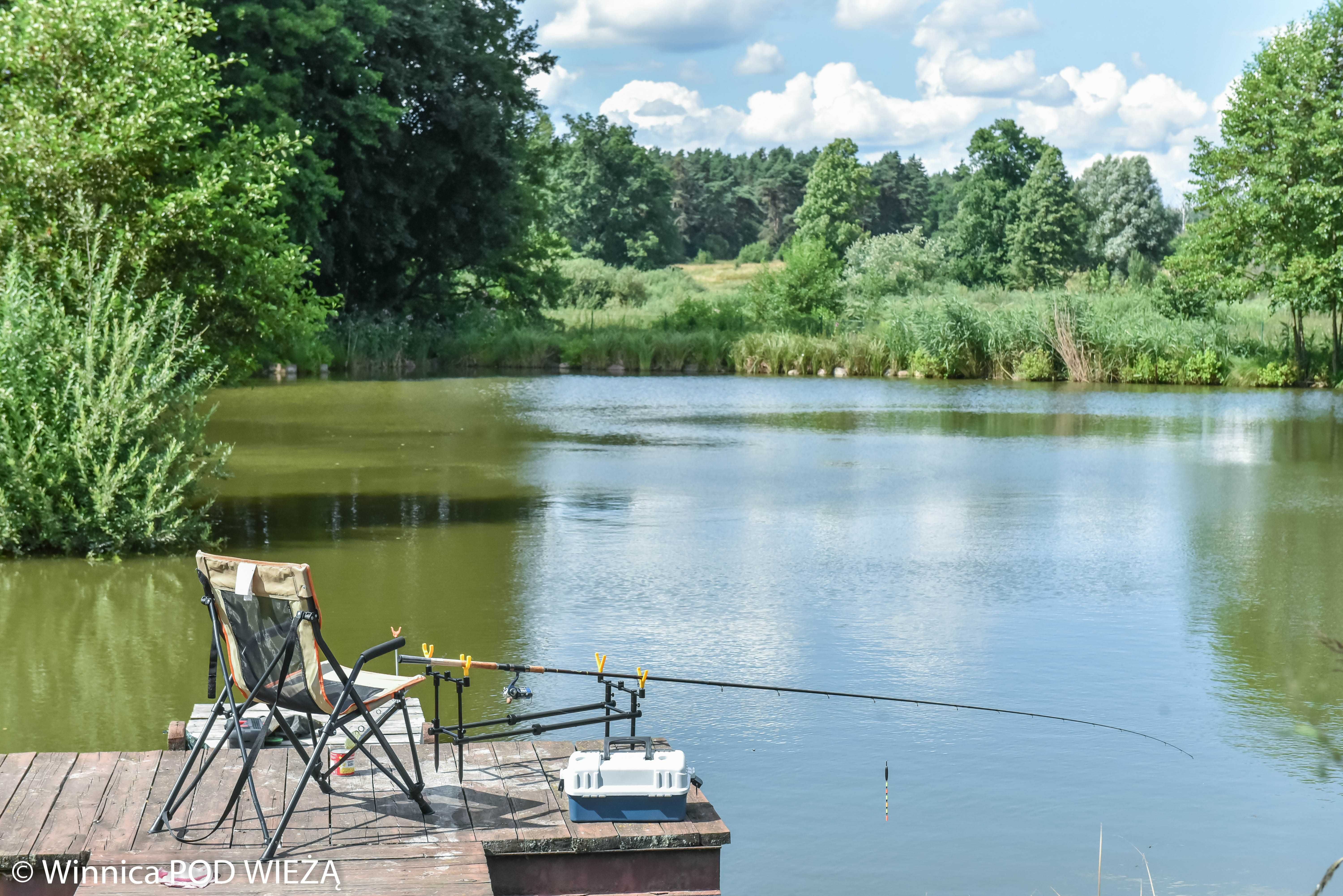 Winnica Pod Wieżą agroturystyka enoturystyka