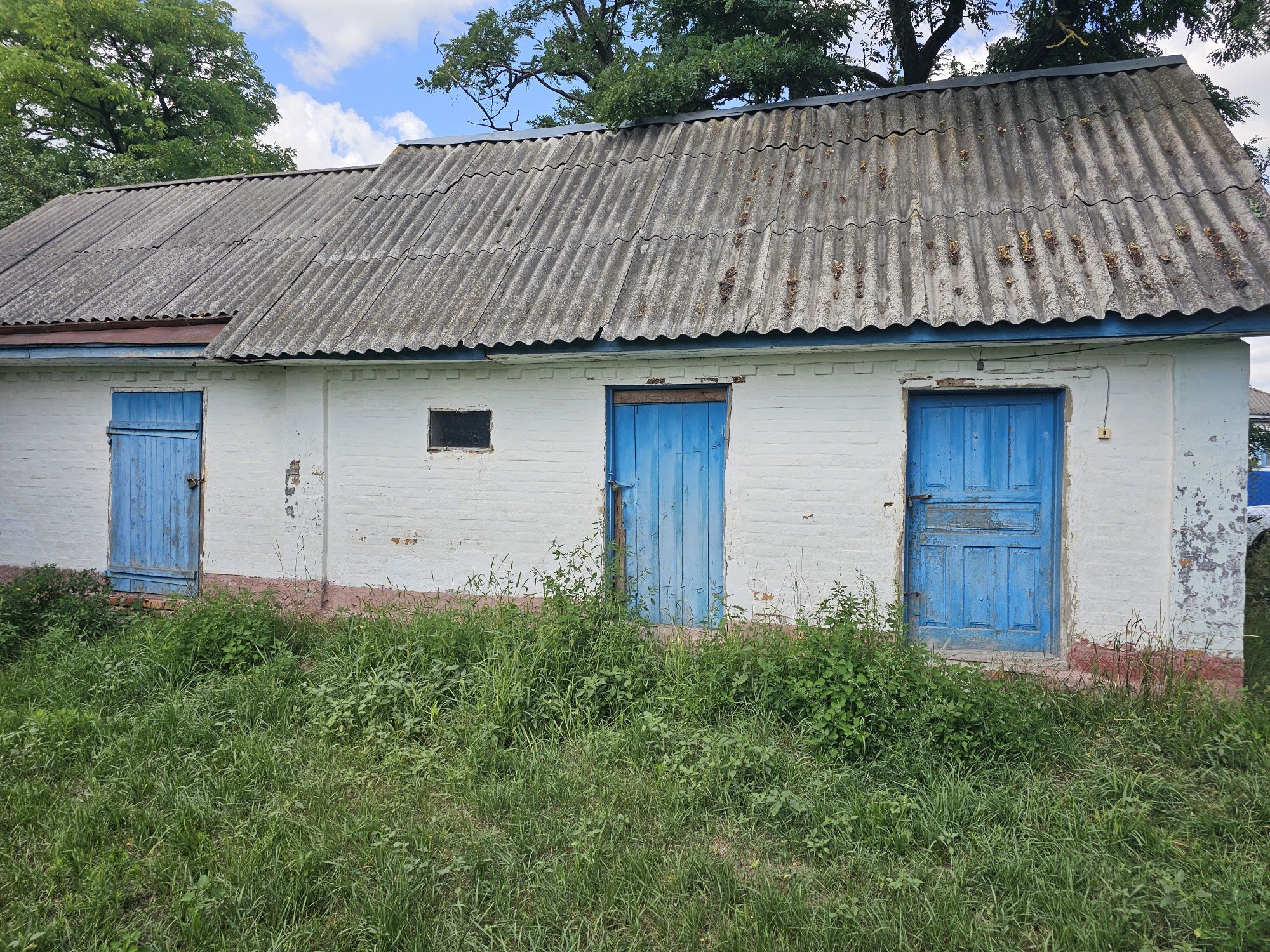 Продам дворище .