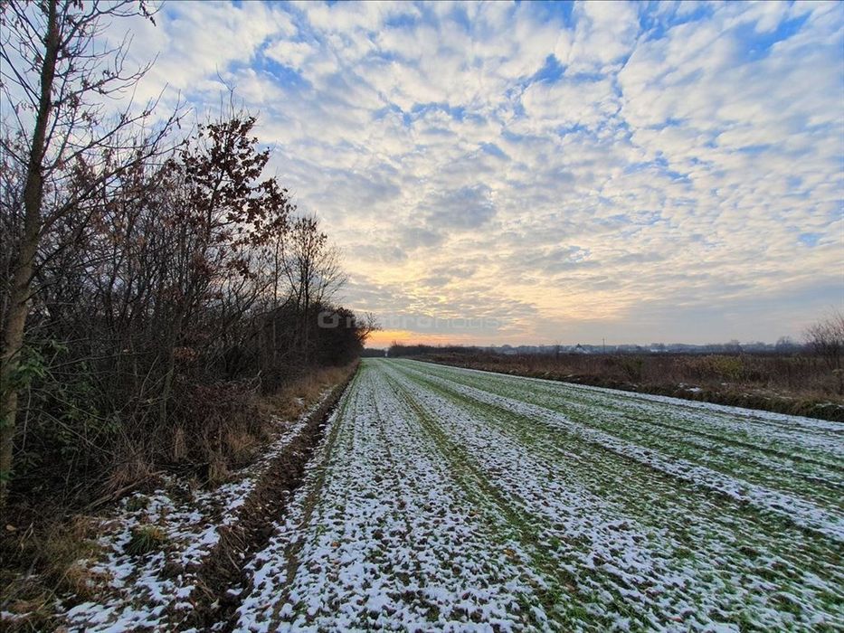 Ziemia Parznice koło Radomia