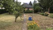 Na sprzedaz działka ROD PODMIEJSKI 382 m2