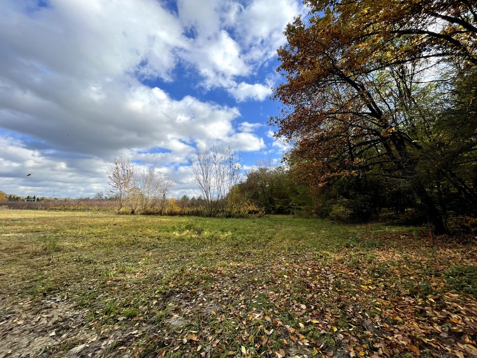 Działka budowlana z widokiem na las, Cholewianka, Gm. Kazimierz Dolny