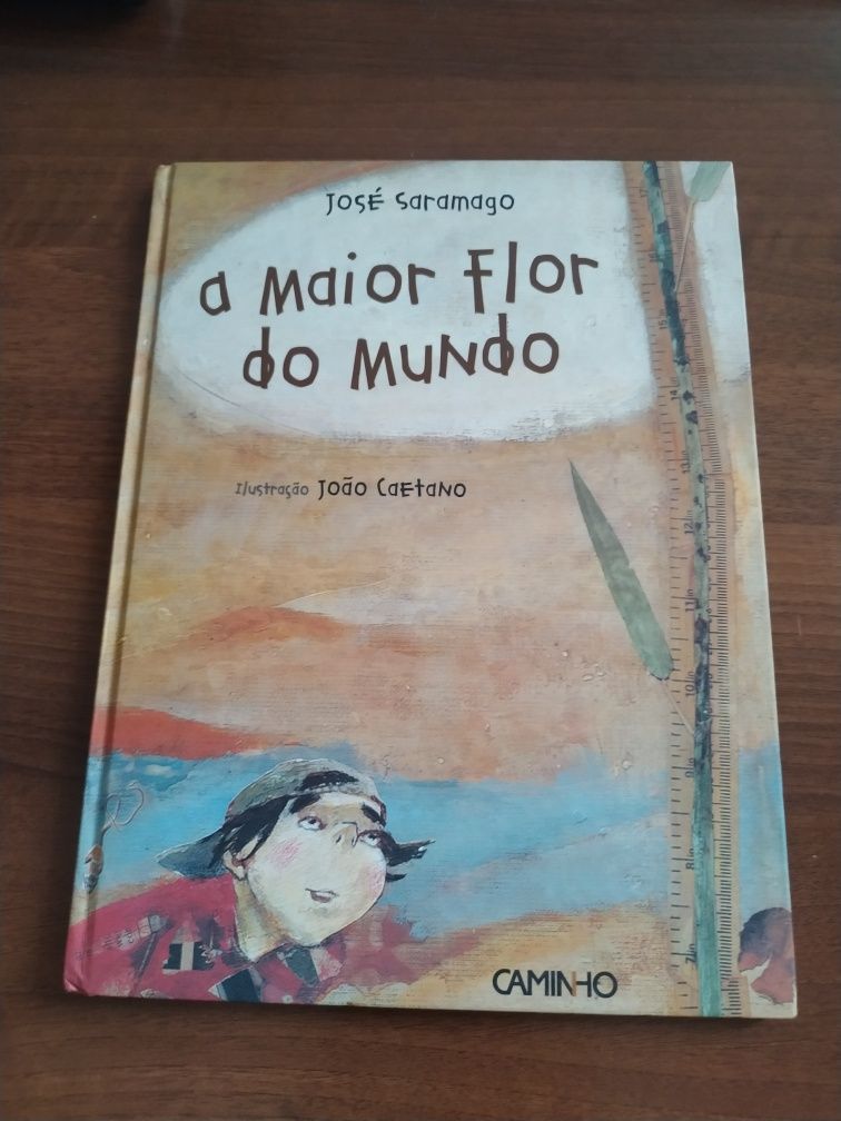 Vários livros infantis e juvenis