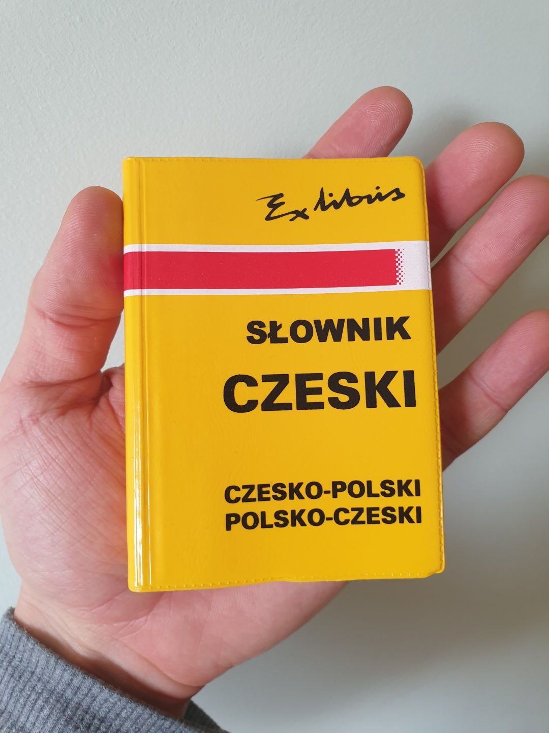 Podróżny słownik polsko-czeski czesko-polski