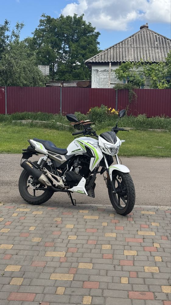 Geon pantera 250