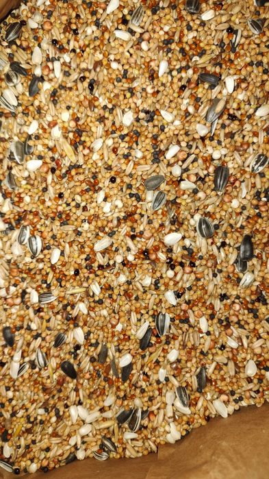 Karma dla papug małych Papuga uniwersalna PAU 10kg