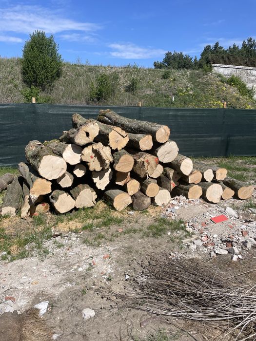 Drewno Grabowe w metrach 2.5 m