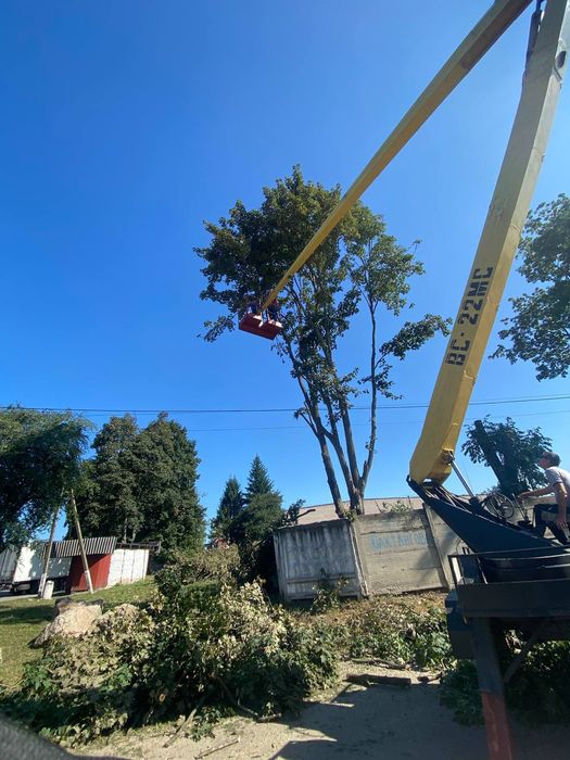 Корчування дерев.Корчування пеньків.Спилювання дерев