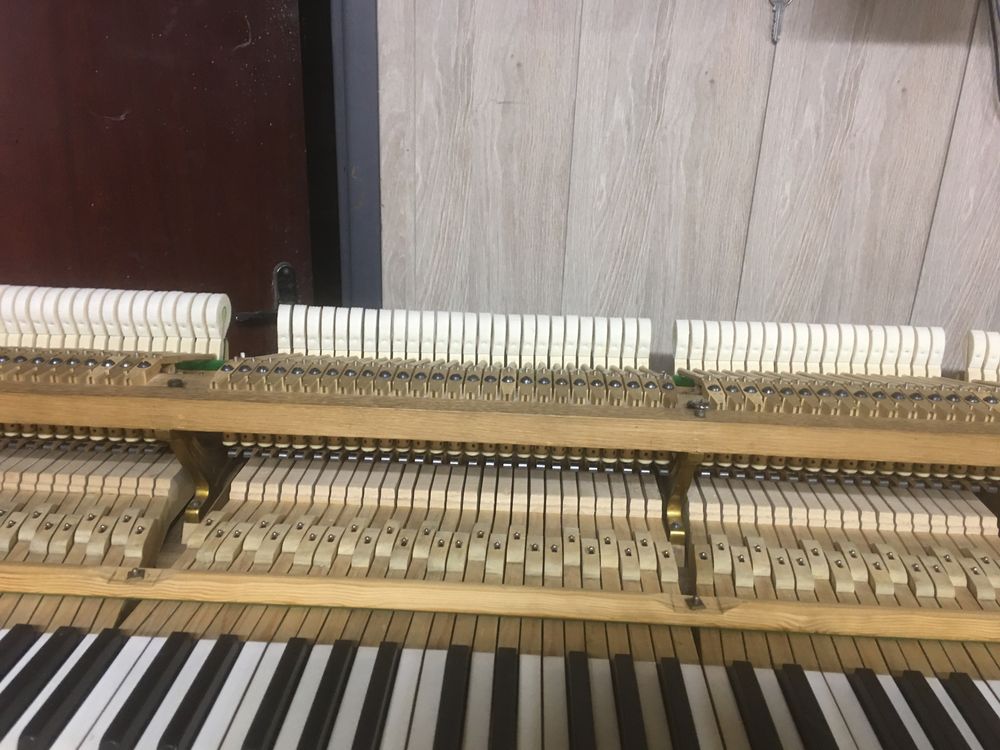 Sprzedam fortepian marki C BECHSTEIN model B