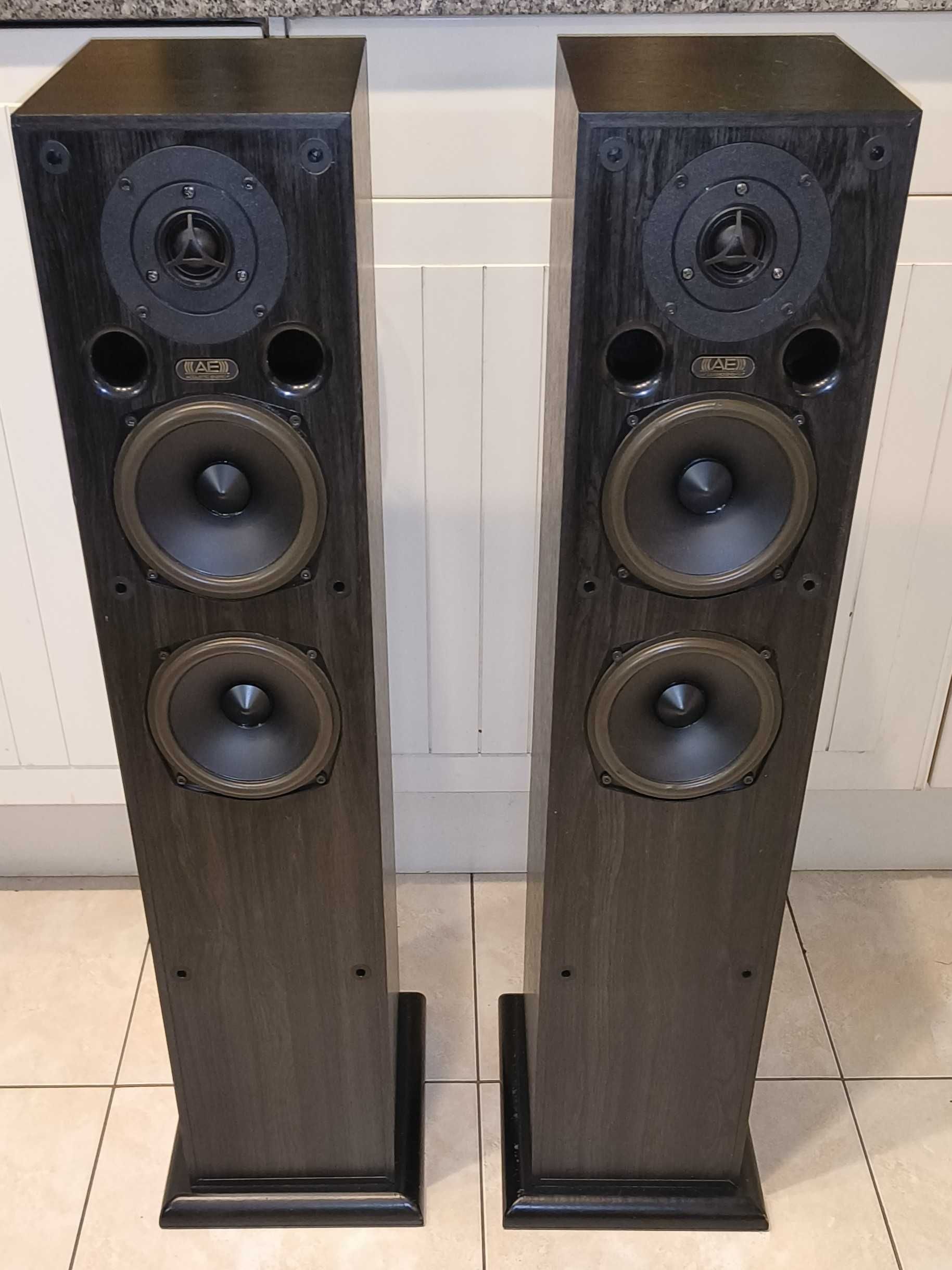 Kolumny Acoustic Energy AE 109 Limited