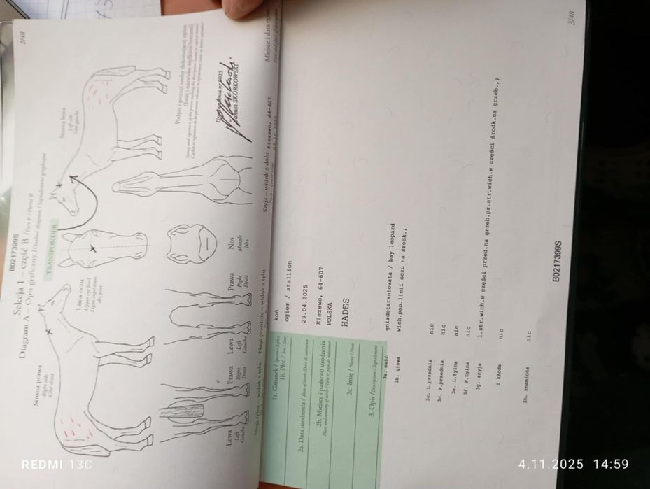 Ogierek z kwietnia tego roku