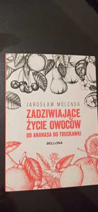 Zadziwiające życie owoców od ananasa do truskawki Molenda