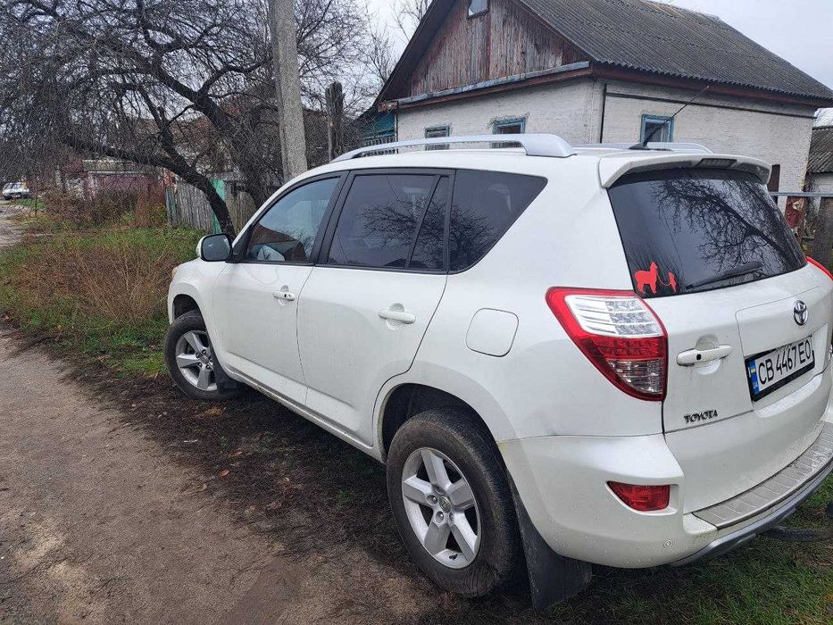 Toyota RAV4 біла