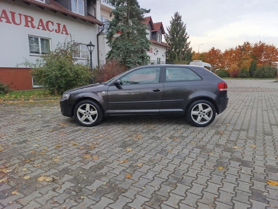 Audi A3 Lift 1.9 TDI BXE Klima Elektryka Jasne Wnętrze Alufelgi
