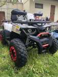 Квадроцикл Forte 200