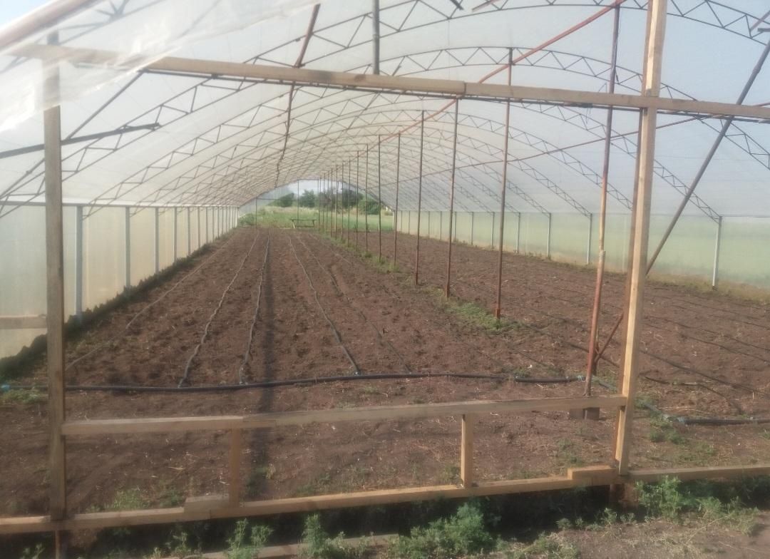 Продам балаган (теплицу)