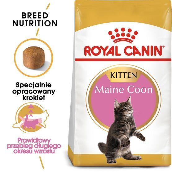 Karma dla kociąt Maine Coon, kotek w ciąży/karmiących Royal Canin 400g