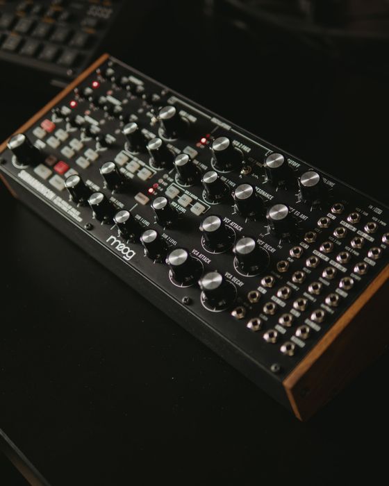 Синтезатор Moog Subharmonicon