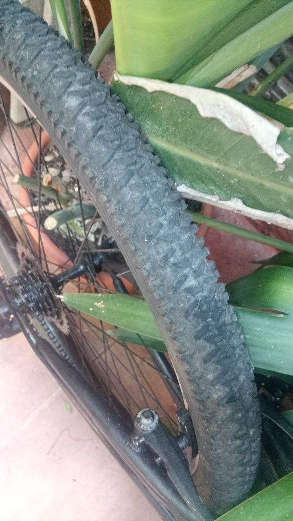 Vendo BTT (particular)