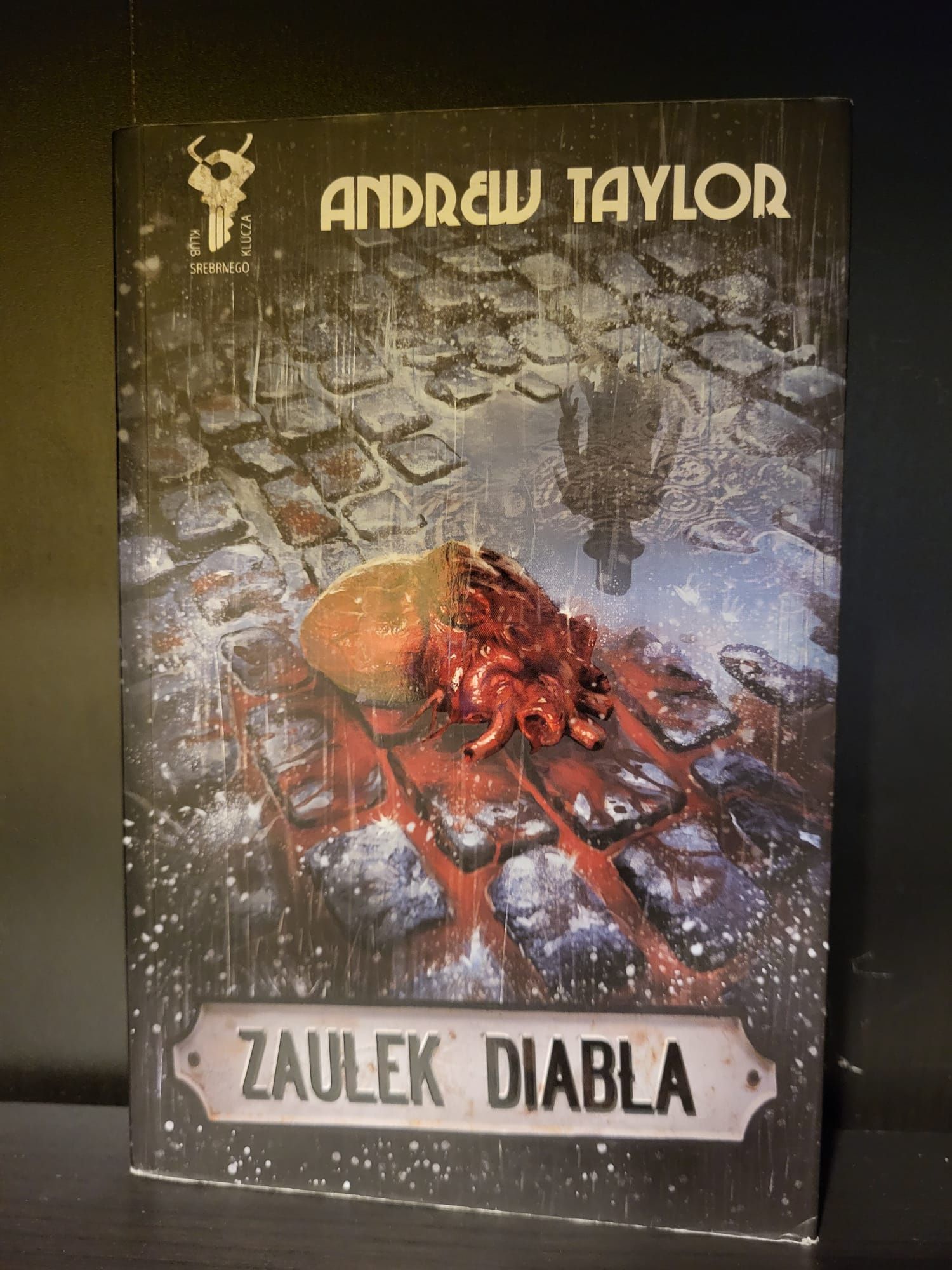 Andrew Taylor - Zaułek Diabła
