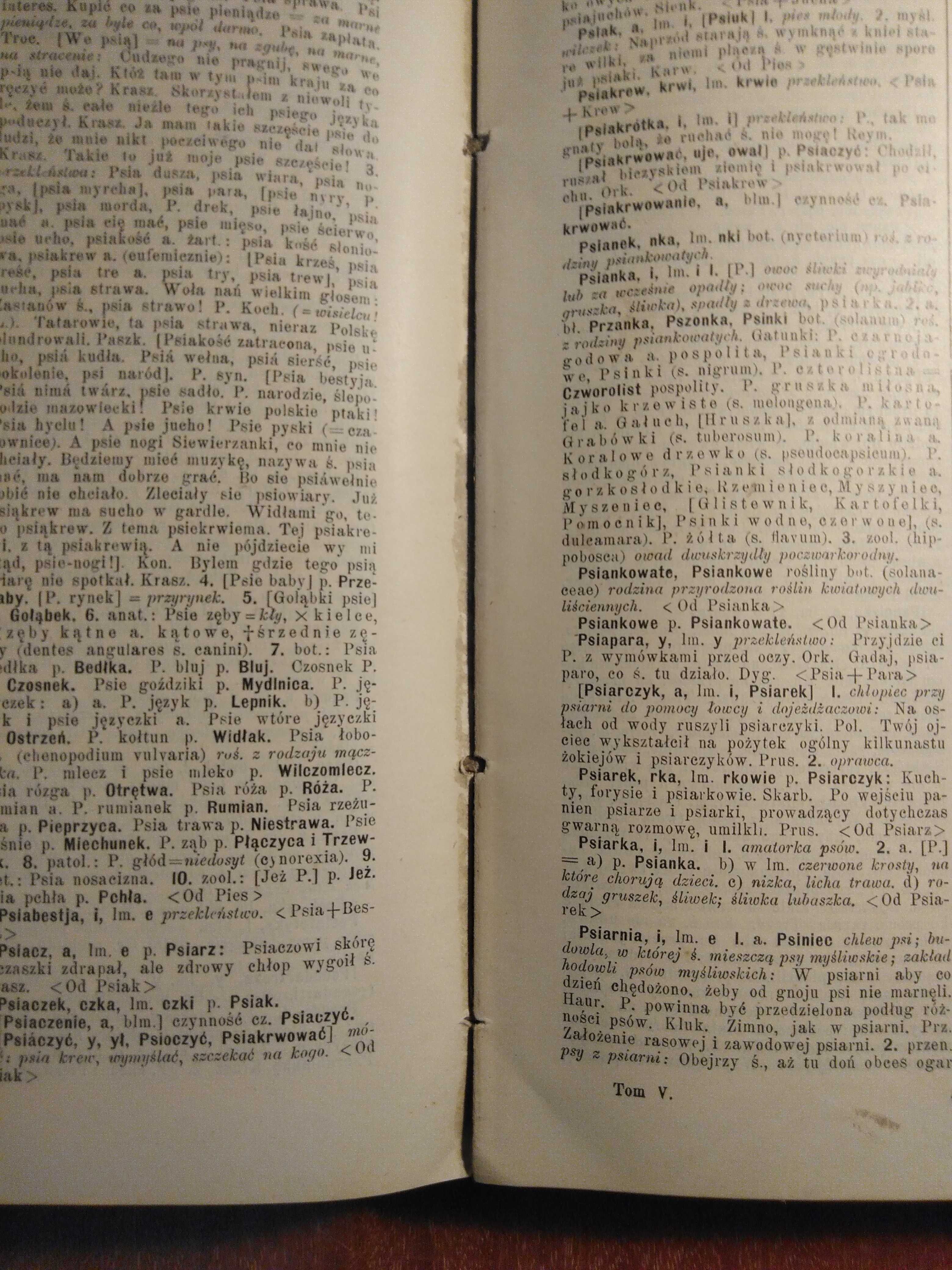 Słownik Języka Polskiego - 1912 - Tom V (z 8)