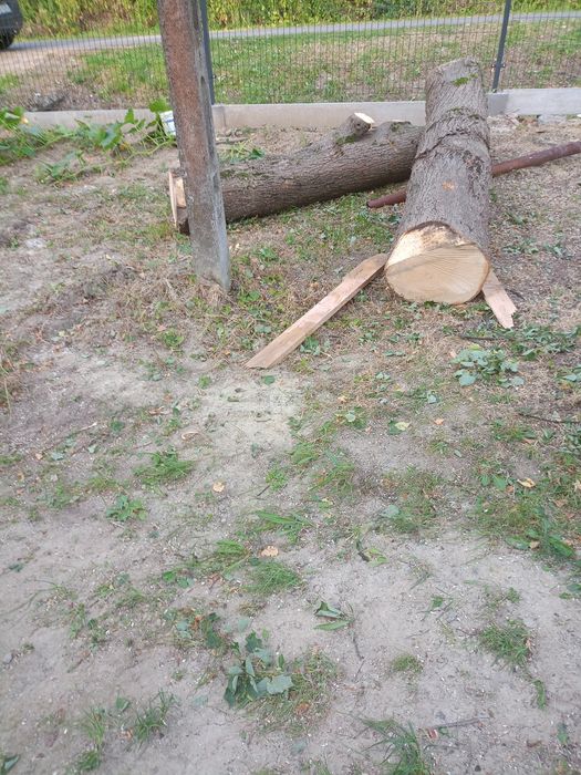 Klocki  Lipy na rzeżby