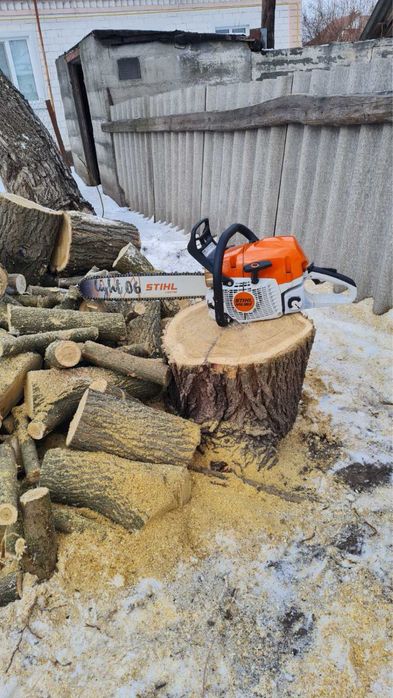 Спил дерев,обрізка гілок,прибирання території.