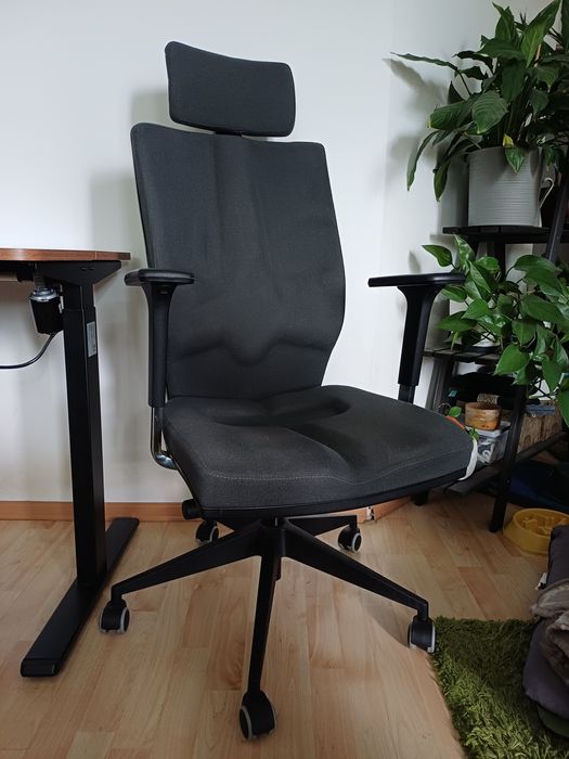 Fotel ergonomiczny krzesło biurowe zdrowy kręgosłup