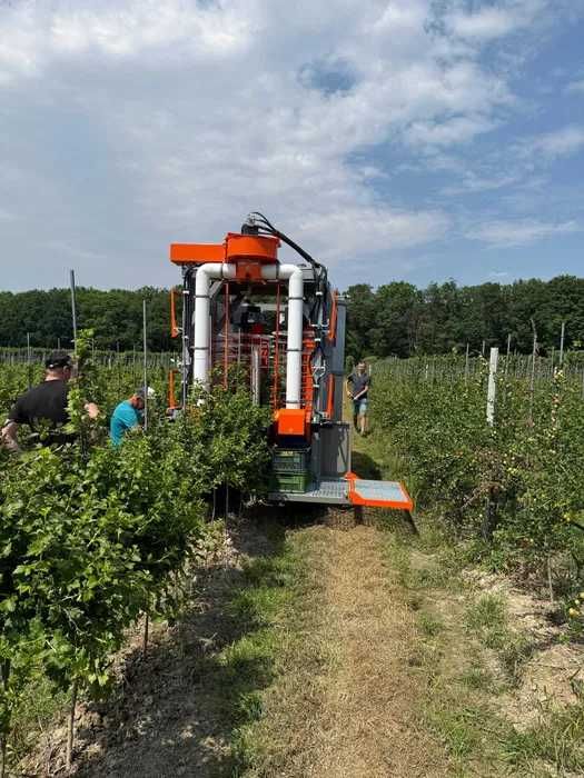 Kombajn do borówki, maliny letniej, agrestu, jagody kamczackiej