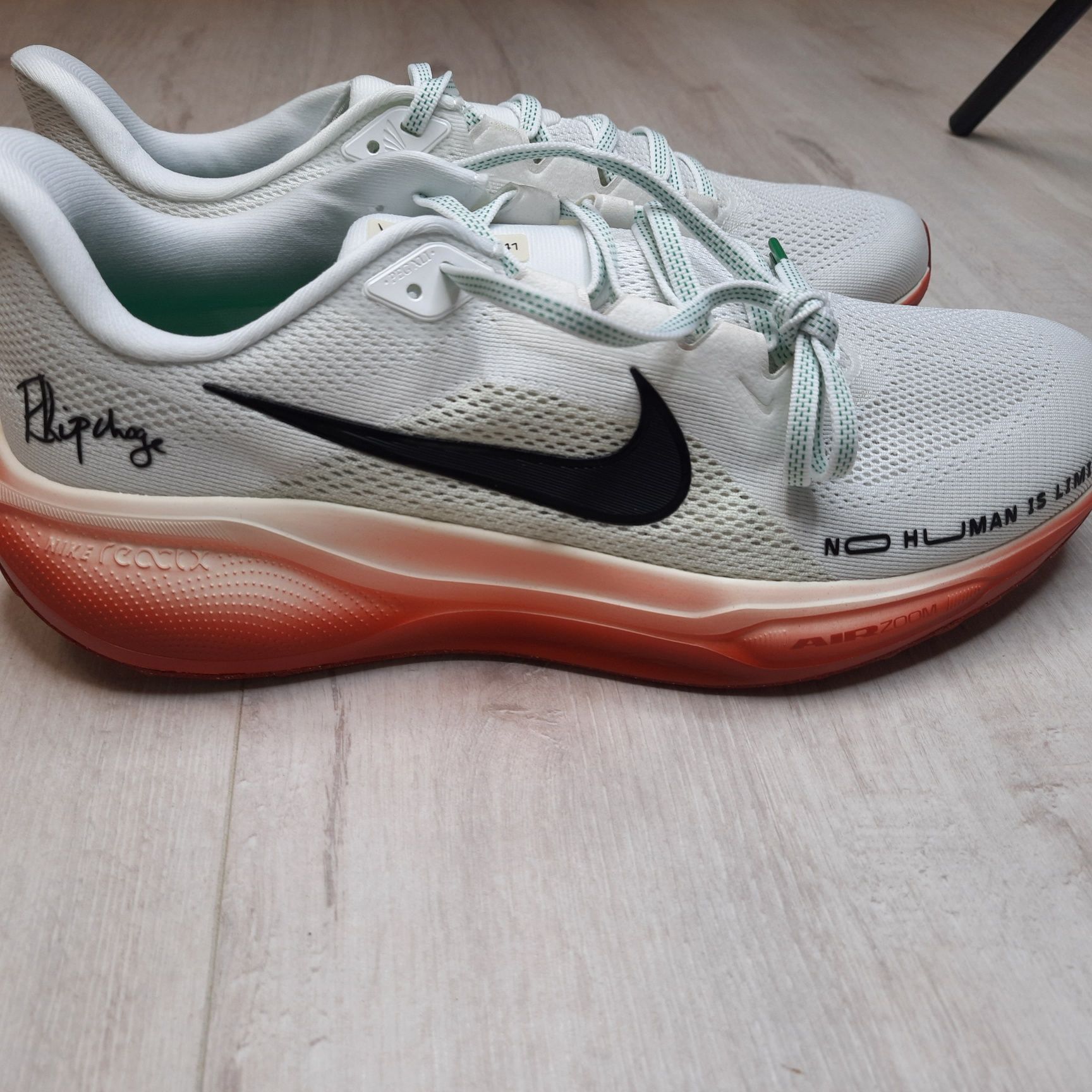 Кросівки Nike Pegasus 41 "Eliud Kipchoge" Road Running HJ7037-100