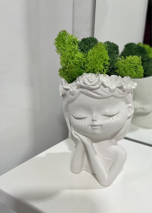 Капшо гіпсові,капшо с гипса,капшо з стабілізованого мохом,