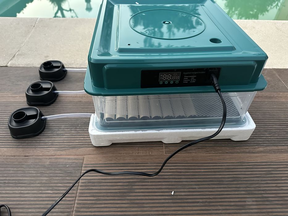 Chocadeira automática ovos de galinha coderniz patos