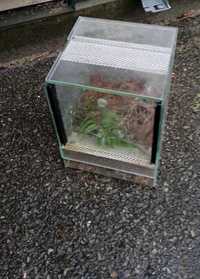 Terarium 20 x  15 x 15