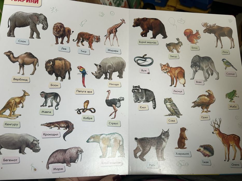 Малюкові про все на світі