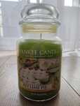 Yankee Candle Key Lime Pie świeca duża