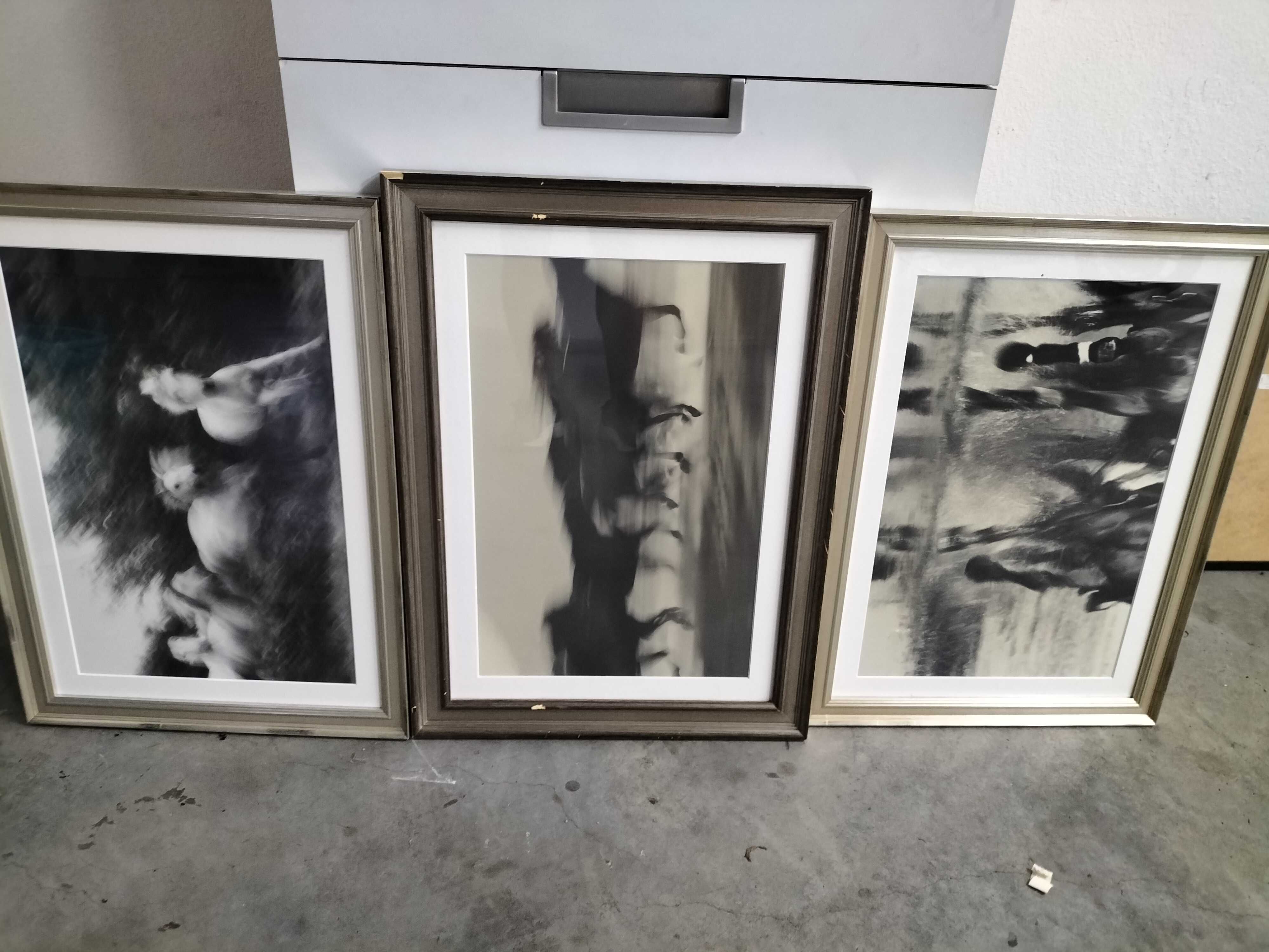 Quadros com bonitas imagens de cavalos