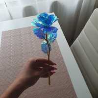 Niebieska róża wieczna