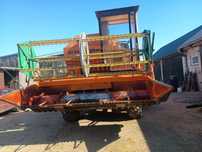 Dronningborg d1200