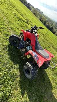 Quad bushan 250 manual