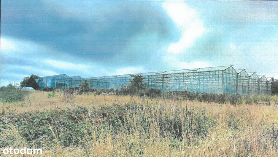 Syndyk sprzeda nieruchomość zabudowaną we Włoszycy