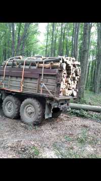 Дрова букові різних розмірів