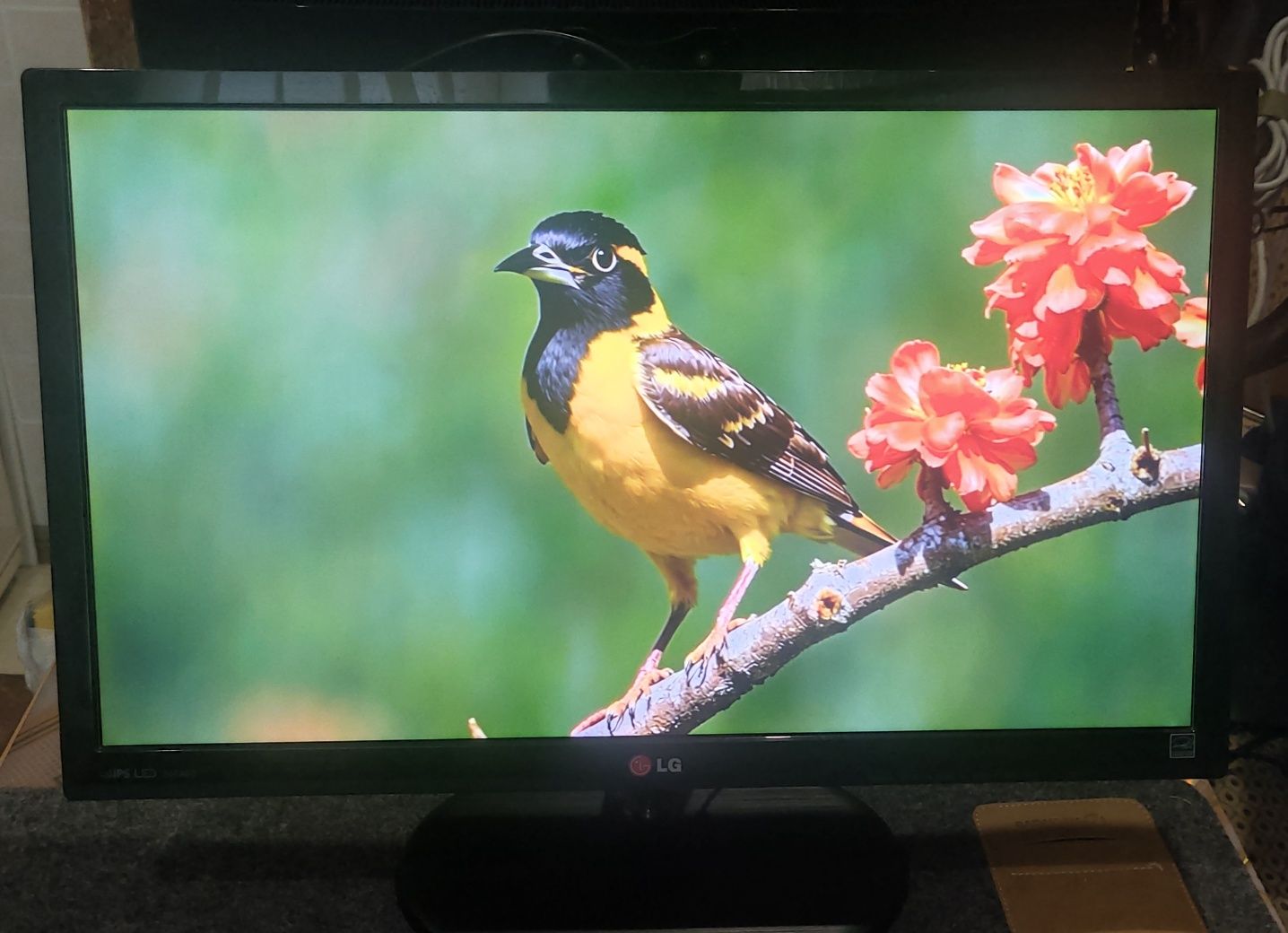 Монітор LG 24EA53VQ-P 24"