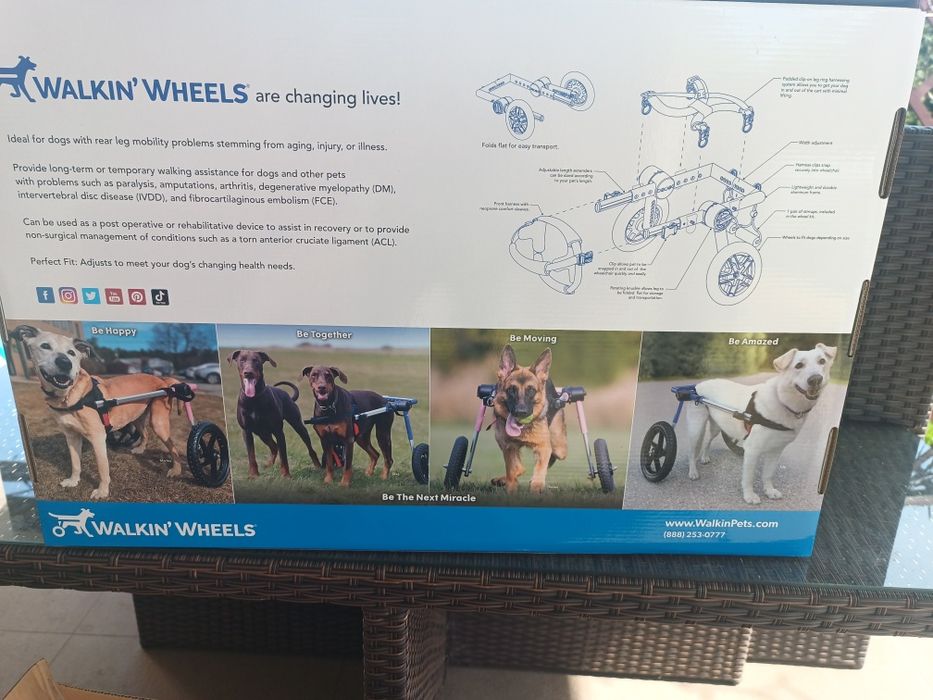 Wózek rehabilitacyjny dla psa na niedowład łap tylnych