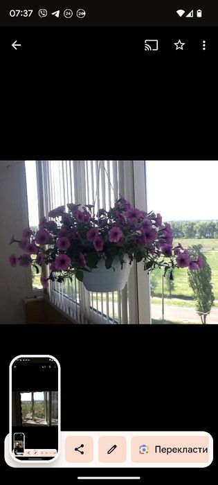 Квартири подобово з видом на Дніпро від 500 грн