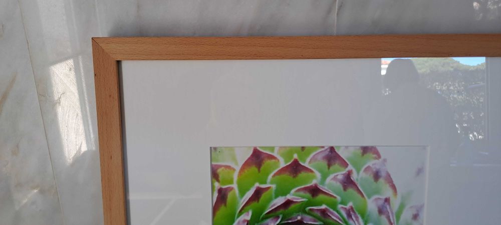 Quadro com foto e moldura madeira