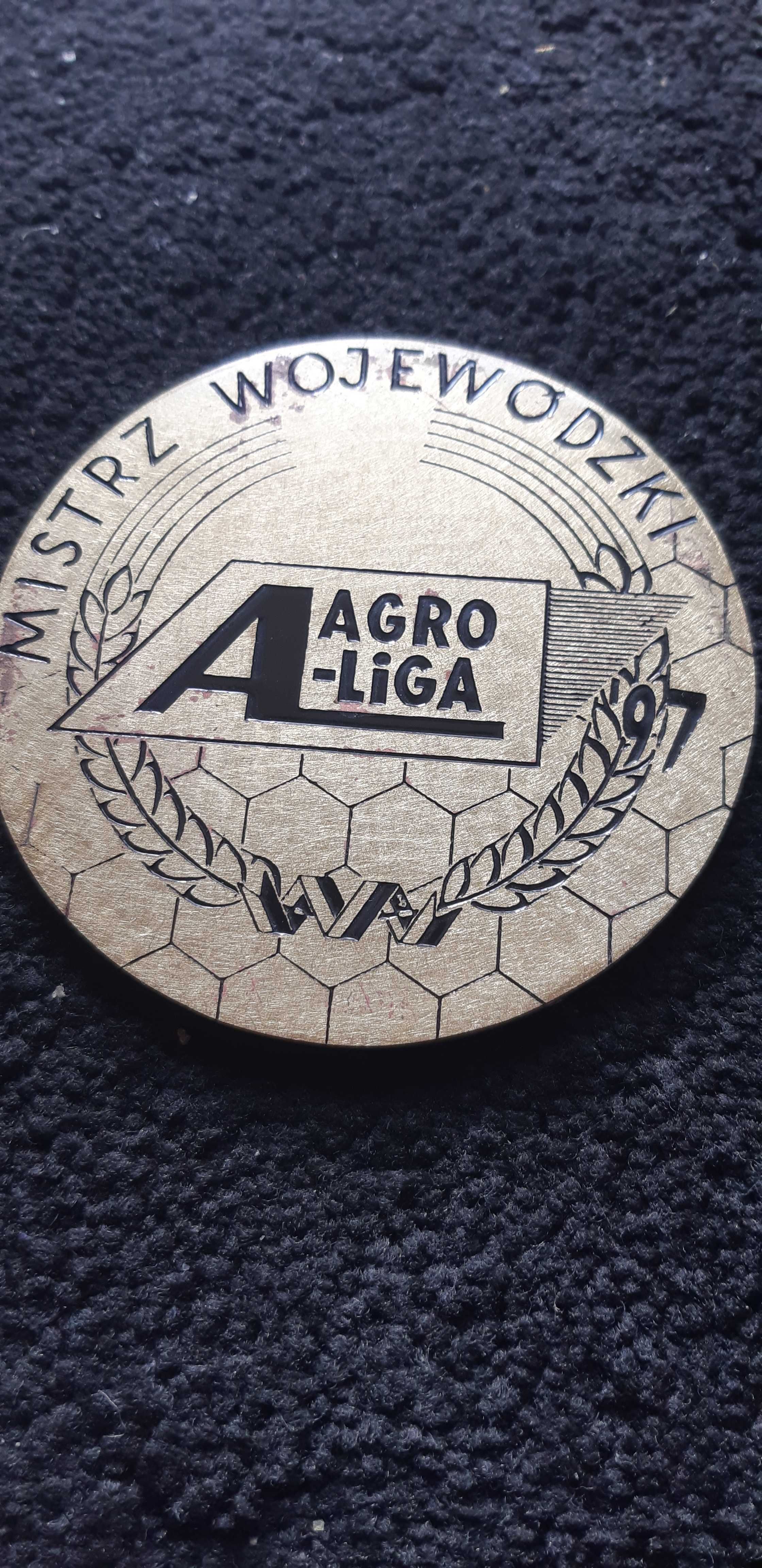 medal Mistrz Wojewódzki Agro - liga