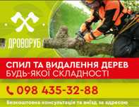 Спил / санитарная обрезка деревьев / Опрыскивание / Корчевание