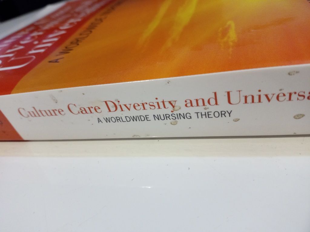 Culture, Heritage, and Diversity in Older Adult Mental Health Care APA