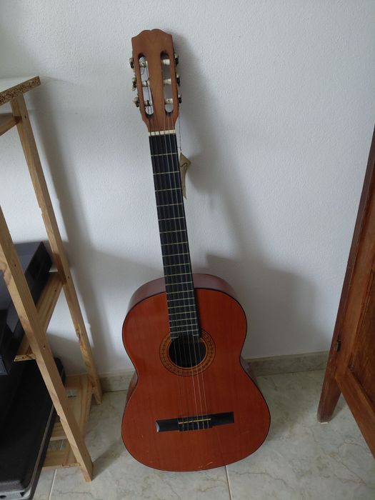 VENDO viola usada